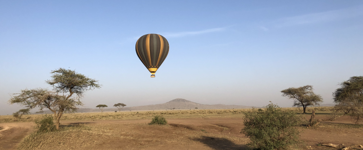 Safari, 10 Tage, Lake Manyara NP, Ngorongoro Crater, Serengeti NP & Tarangire NP