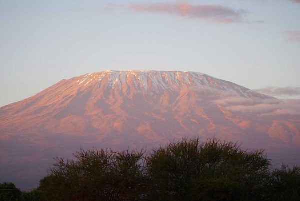 Kilimanjaro