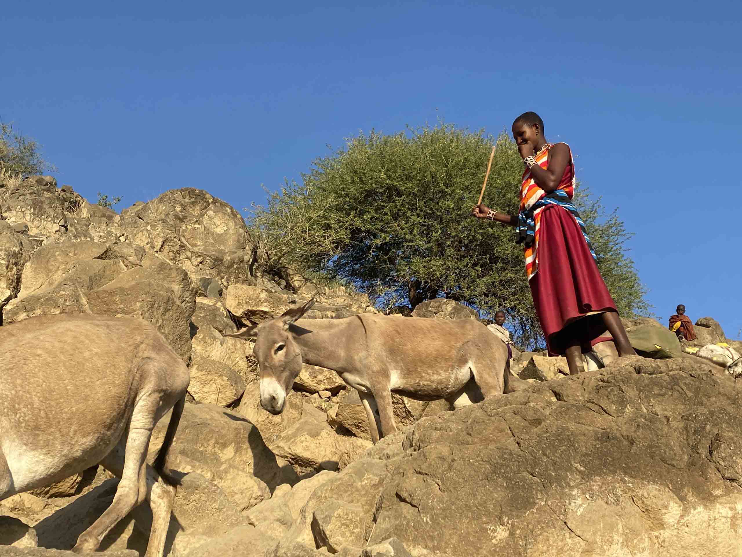 Tanzania, Maasai