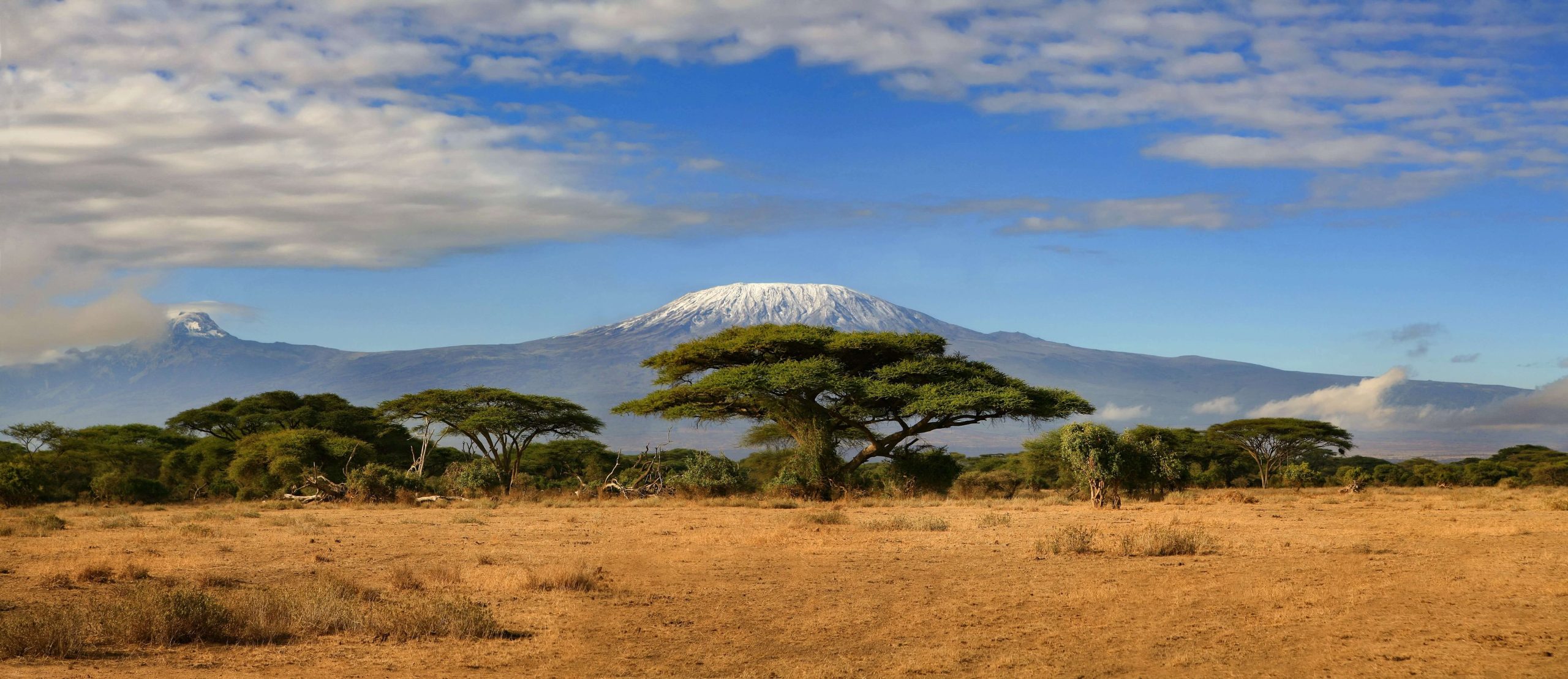 Kilimanjaro Trekking, 7 Tage, Rongai Route