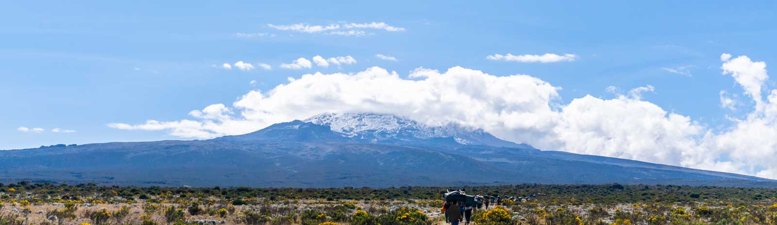 Kilimanjaro Trekking, 6 Tage, Umbwe Route