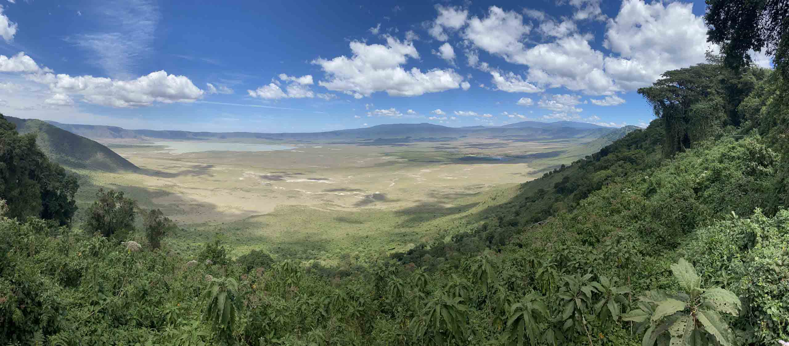 Tagesausflug zum Ngorongoro Krater